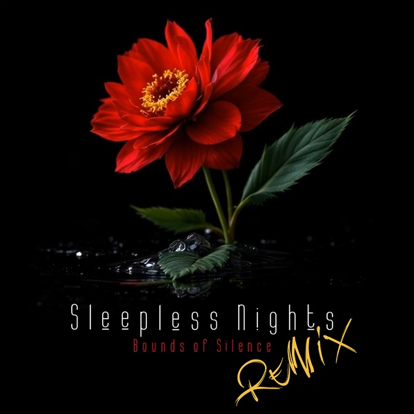 Bounds Of Silence - Sleepless Night  (Remix BOS)