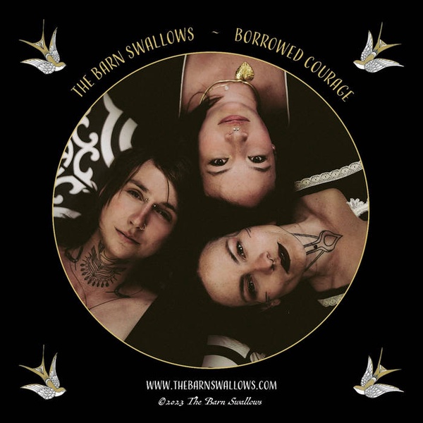 Pochette de « born for this world » de The Barn Swallows