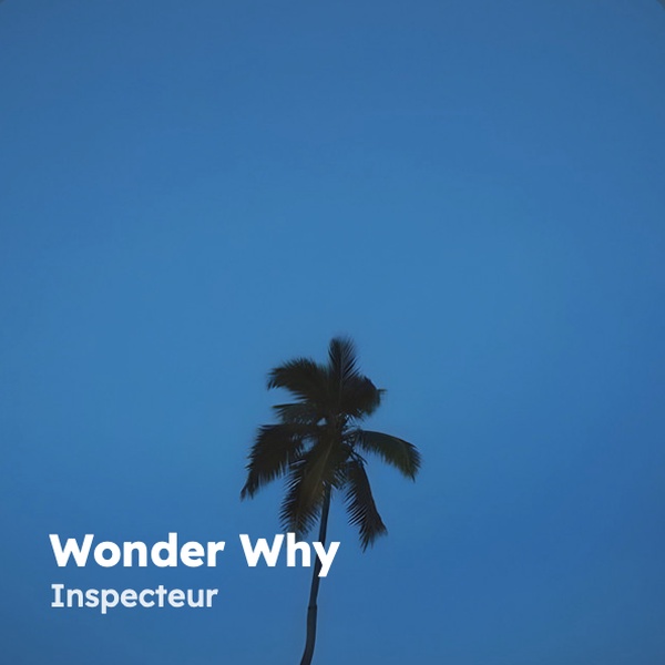 Wonder Why