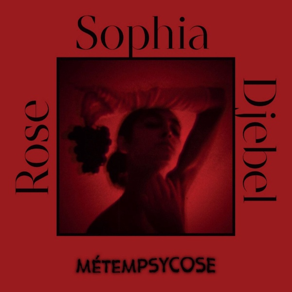 Djebel Rose