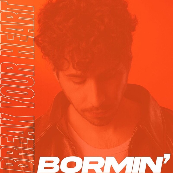 Pochette de Bormin' — Break Your Heart