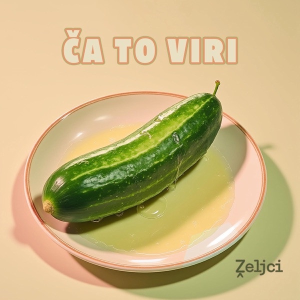 Cover of Ča To Viri