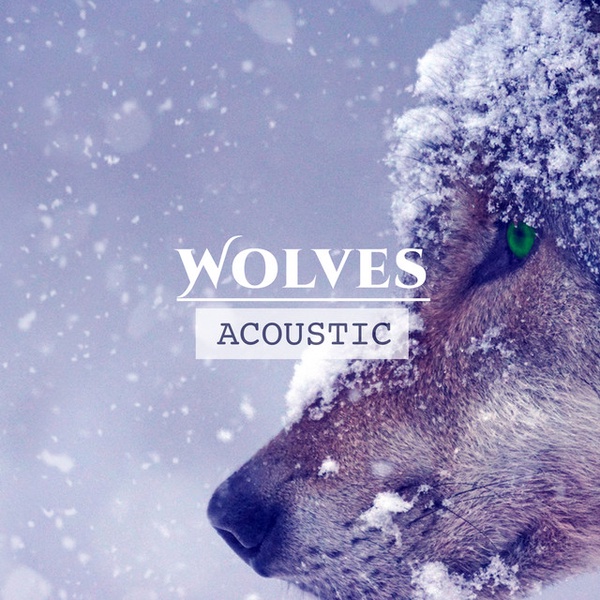 Wolves - Acoustic