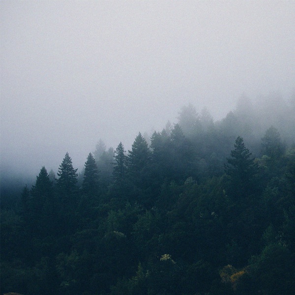 Tim Schaufert, Shwin