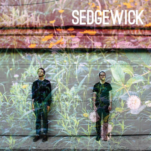 Sedgewick