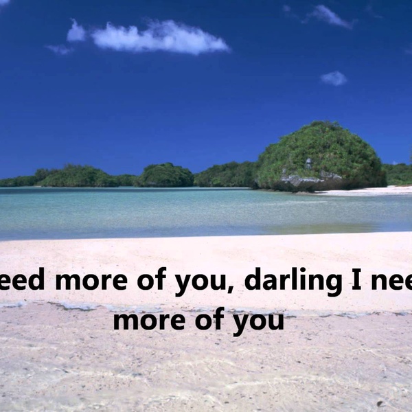 I Need More Of You - Bellamy Brothers
